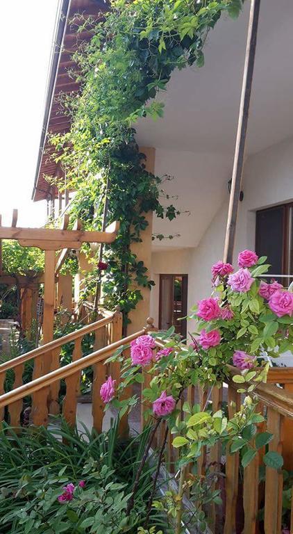 Guest House Nash Dom Kavarna Kültér fotó