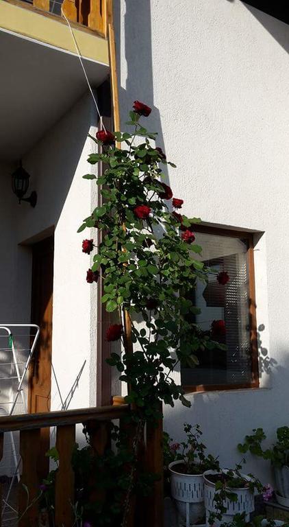 Guest House Nash Dom Kavarna Kültér fotó
